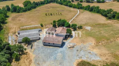 Rustic Finca in Zona Rustica photo 19
