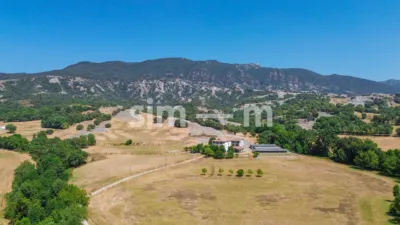 Rustic Finca in Zona Rustica photo 5