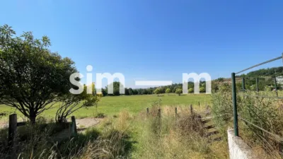 Rustic Finca in Zona Rustica photo 35