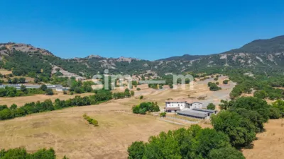 Rustic Finca in Zona Rustica photo 7