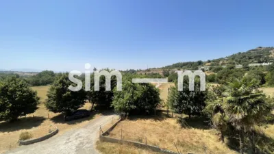 Rustic Finca in Zona Rustica photo 69
