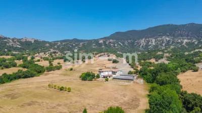 Rustic Finca in Zona Rustica photo 6