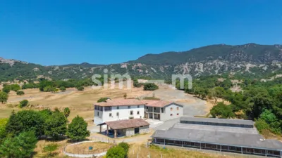 Rustic Finca in Zona Rustica photo 4