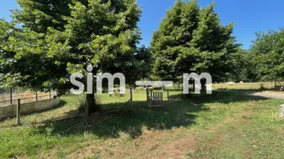 Rustic Finca in Zona Rustica photo 37
