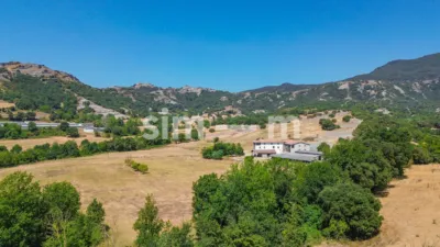 Rustic Finca in Zona Rustica photo 8
