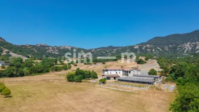 Rustic Finca in Zona Rustica photo 23
