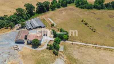 Rustic Finca in Zona Rustica photo 17