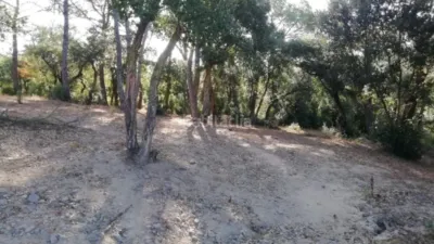 Rustic Finca in Mas Altaba photo 22