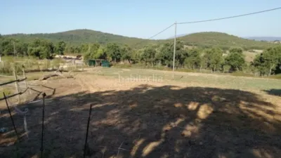 Rustic Finca in Mas Altaba photo 24