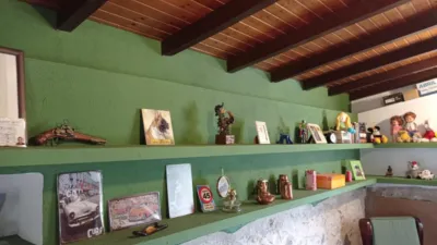 Rustic Finca in Mas Altaba photo 29