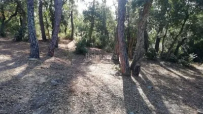Rustic Finca in Mas Altaba photo 3