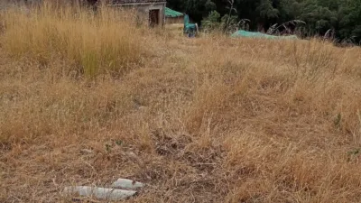 Rustic farm in La Batlloria photo 20