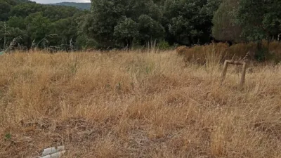 Rustic farm in La Batlloria photo 12
