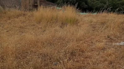 Rustic farm in La Batlloria photo 15