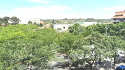 Flat in La Sardana photo 11