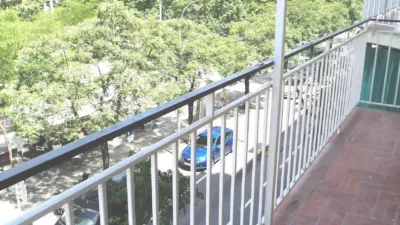 Flat in La Sardana photo 6