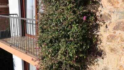 House on Carrer de les Violetes photo 46