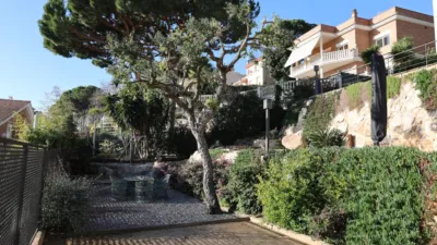 House on Carrer de les Violetes photo 3