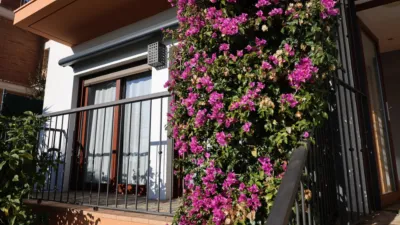 House on Carrer de les Violetes photo 52