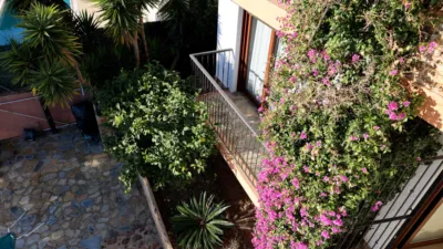 House on Carrer de les Violetes photo 47