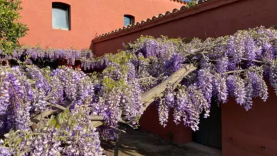 Rustic Finca on Can Carreras Street photo 16