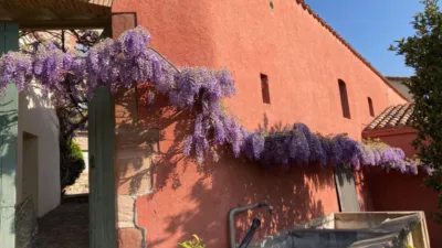 Rustic Finca on Can Carreras Street photo 17