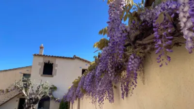 Rustic Finca on Can Carreras Street photo 6