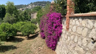 Rustic Finca on Can Carreras Street photo 14