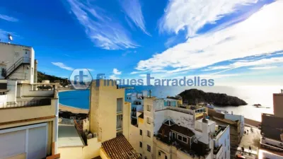 Studio in Centre Els Pescadors photo 20