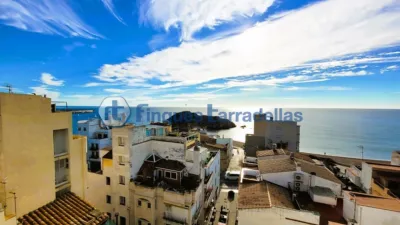 Studio in Centre Els Pescadors photo 2