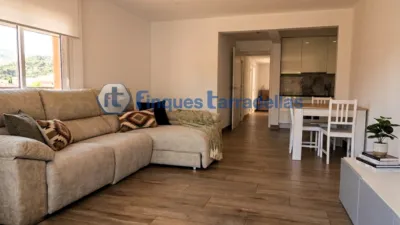 Apartment in Els Pins photo 3