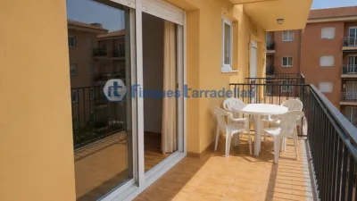 Apartment in Els Pins photo 4