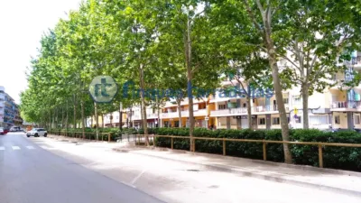 Apartment in La Plantera photo 16