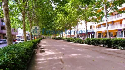 Apartment in La Plantera photo 15