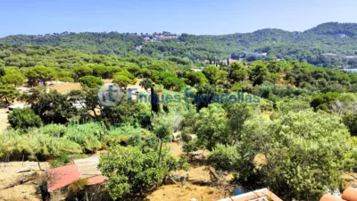Casa en Valldolig photo 24