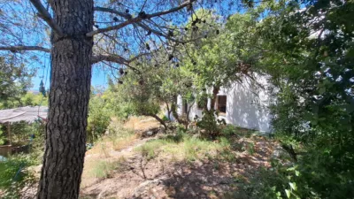 Casa en Llevantina-Montgavina-Quint-Mar-Garraf photo 83