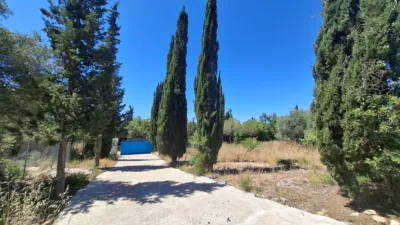 House in Llevantina-Montgavina-Quint-Mar-Garraf photo 3