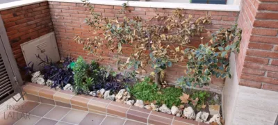 Terraced house in Carrer de Brasil photo 2