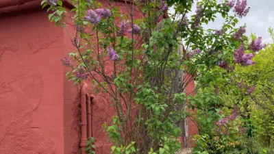 House on Carrer de la Prunera photo 27