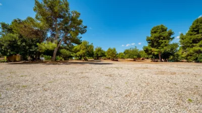 Rustic Finca in La Coma photo 24