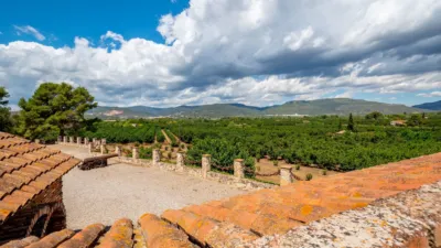 Rustic Finca in La Coma photo 18