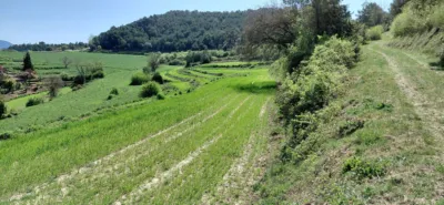 Rustic farm in Sant Martí de Centelles photo 4