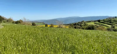 Rustic farm in Sant Martí de Centelles photo 6