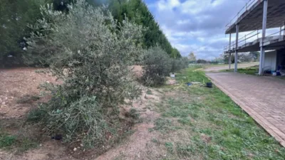 Finca rústica en venta en Carretera de Rellinars, Poble Nou-Zona Olímpica (Distrito Sant Pere-Zona Esportiva. Terrassa) de 1.200.000 €