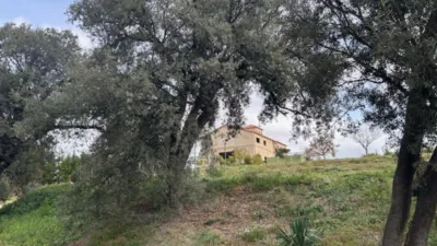 Finca rústica en venta en Carretera de Rellinars, Poble Nou-Zona Olímpica (Distrito Sant Pere-Zona Esportiva. Terrassa) de 1.200.000 €