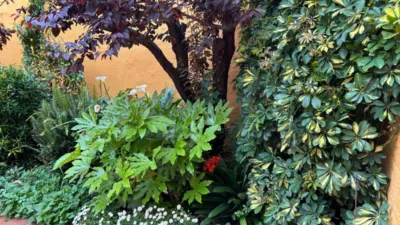 House in Sant Pere photo 46