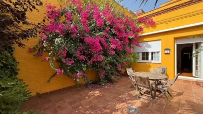 House in Sant Pere photo 43