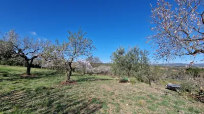 House in Conca de Barberà photo 17