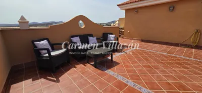 Apartment on Avenida Ángel Jové photo 21