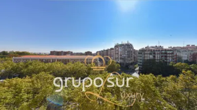 Apartment at Paseo de Zorrilla, 48 photo 23